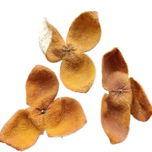 广东江门特产新陈皮天然生晒五年大红皮果皮茶枝柑皮茶500g包邮