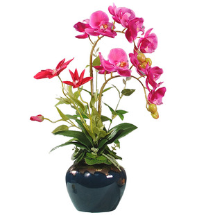 手感蝴蝶兰仿真花桌子摆花床头柜摆件装饰品卧室高品质假花带花瓶