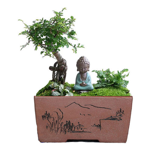 宜兴新希望手工长方形文竹 榕树 树桩 盆景盆 特大多肉陶瓷花盆