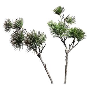 仿真松枝崖柏松针松柏树罗汉松盆景装饰叶子仿真植物家居装饰假树