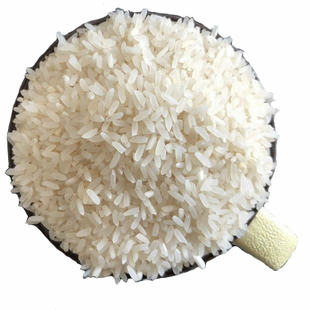 样品专拍安徽早稻米籼米粳米泰香米猫牙米稻花香米等大米5斤试用