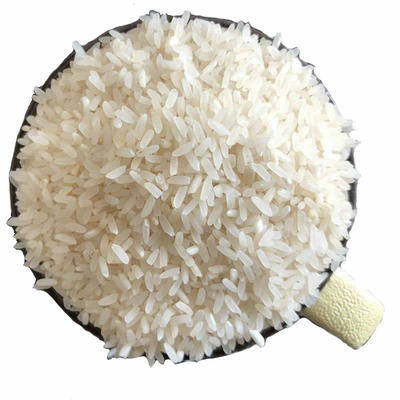 稻花香专拍安徽猫牙包邮早稻米米