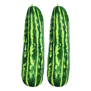 农家瓜果大全常用种子集合水果原装西瓜香瓜甜瓜种籽阳台盆栽庭院