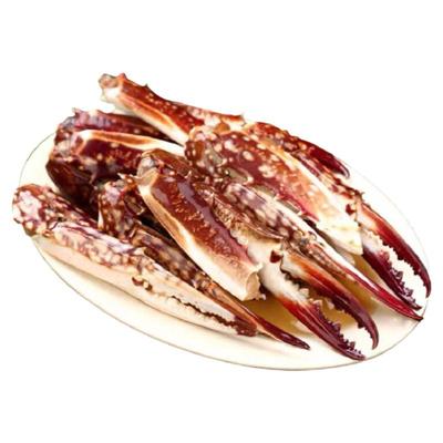 鲜活蟹取钳精品大号梭子蟹钳蟹脚