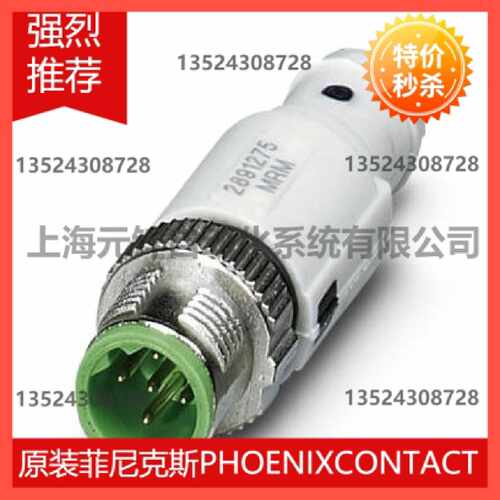 议价组态记忆体 - FL MEM PLUG/MRM - 2891275