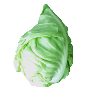 云南牛心菜莲花白尖包菜卷心菜绿甘蓝手撕包菜露天新鲜蔬菜尖白菜