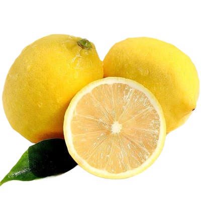 安岳新鲜黄柠檬新鲜水果皮薄多汁产地直发一级鲜果包邮奶茶店泡水