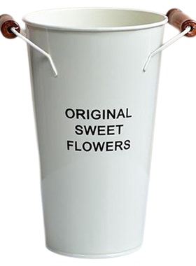 北欧风铁皮大号醒花桶插花干花桶