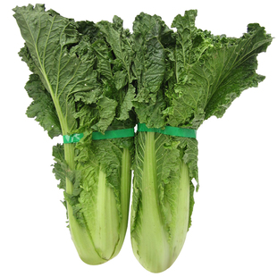 春播蔬菜种子大全白菜萝卜生菜菠菜香菜种籽盆栽蔬菜种籽寿光菜籽