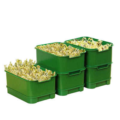 WoW豆芽发芽盆育苗盘食品级家用生豆芽机黄绿豆芽种植豌豆苗神器