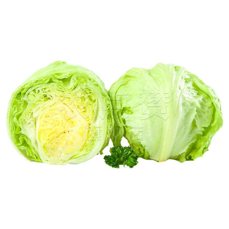结球生菜种子球形生菜种籽四季球型卷心圆包心生菜种孑阳台盆栽