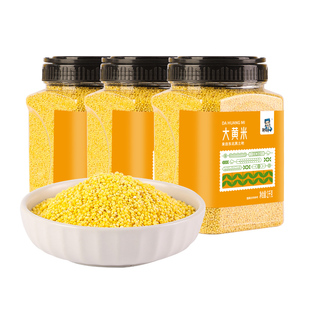 东北大黄米罐装1kg新米粽子专用黍米黏米粘糯五谷杂粮非山西小米