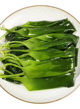 海带裙带菜海带苗火锅食材商用