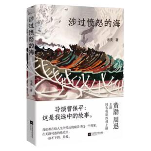 涉过愤怒的海全书正版书籍 周迅黄渤主演 曹保平执导同名电影现实主义犯罪小说影视同期书 原著灼心系列新作 浮冰鹈鹕小姐三部小说