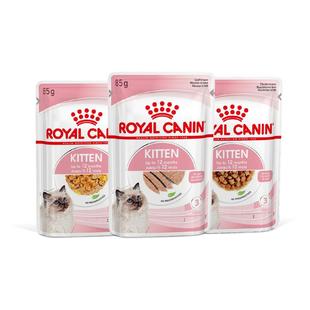 皇家猫粮进口主食级猫湿粮营养湿粮餐包幼猫专用85g*24袋