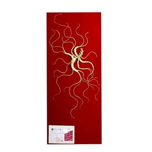 国检二等野山参吉林长白山人参林下参老20年泡酒专用人身高端礼盒