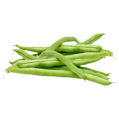 美国山东老品种四季蔬菜孑架豆