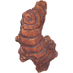 广西野生鸡血藤中药材正品原材料官方旗舰店片泡酒的功效与作用