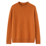 恒源祥冬季新款100%山羊绒杉半高领加厚打底针织男生高档毛衣羊毛