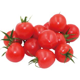 小番茄种子种孑超甜四季小柿子籽圣女果苗秧农家水果盆栽佳妮T01