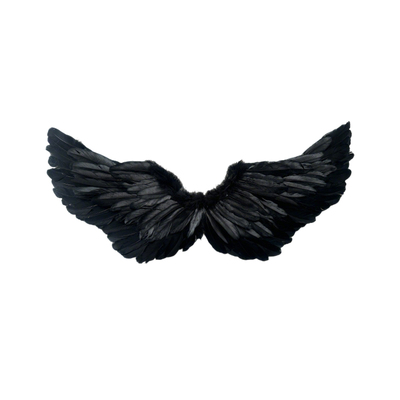 芯苼梦幻天使之翼花束