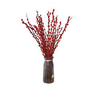银柳真花鲜枝客厅红色干花摆件新年宵花卉室内盆栽绿植物雪柳干枝