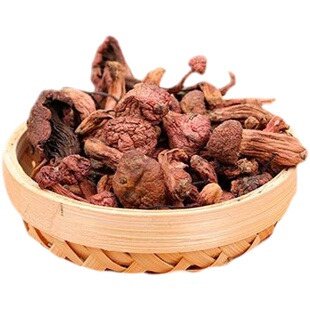 东北土特产新货野生红蘑菇松树伞钉红松伞松蘑食用菌干货250g