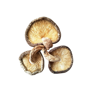 椴木香菇干货薄片香菇野外生长木头香菇柞树香菇小蘑菇家用干香菇