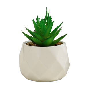 迷你仿真多肉植物小盆栽家居客厅办公室桌面摆件工位假花绿植装饰