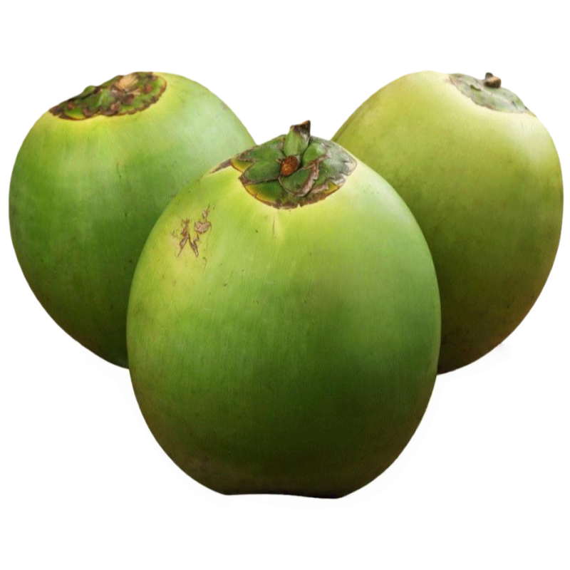 海南新鲜椰子椰青带皮嫩椰蛋纯天然孕妇补羊水专用当季现摘现发果