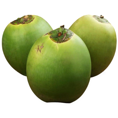 海南新鲜椰子椰青带皮嫩椰蛋纯天然孕妇补羊水专用当季现摘现发果