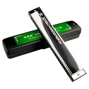 通宝五声音阶复音口琴进口音簧24孔C调杨晟老师专业教学款P1024