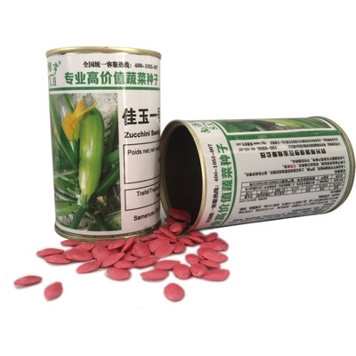 西西葫芦种子耐高温油亮发绿
