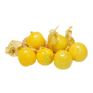 东北菇娘果种子粒粒甜黄姑娘果种籽灯笼果皮薄肉厚甜度高水果种子