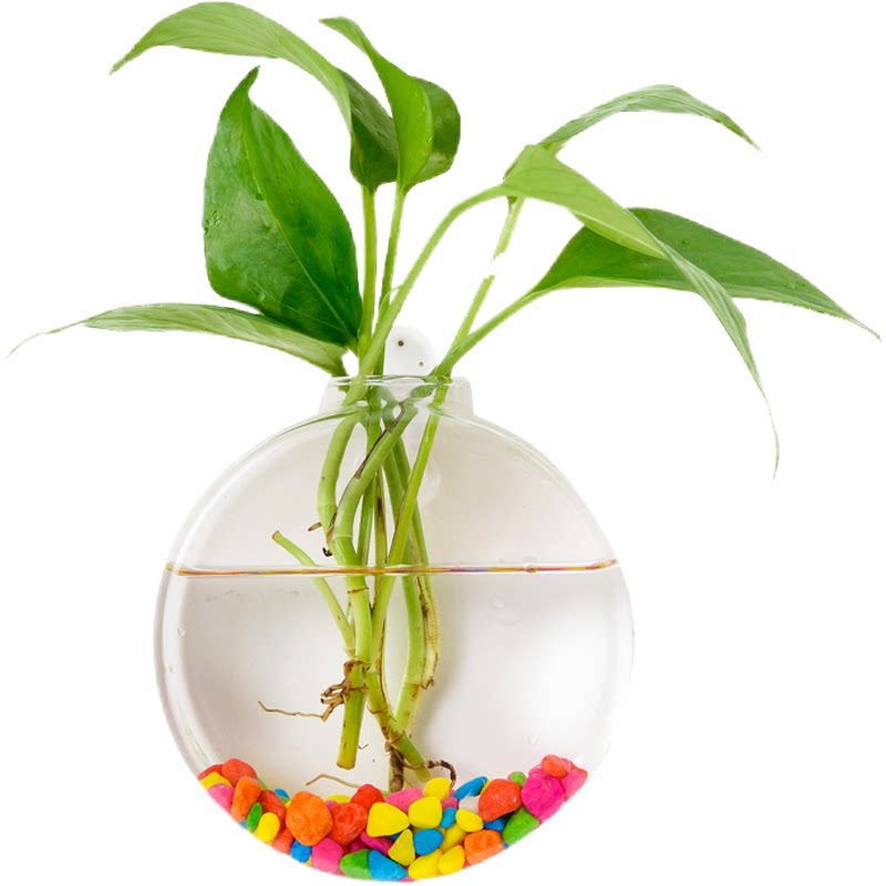 墙面装饰水培植物花盆器皿挂件
