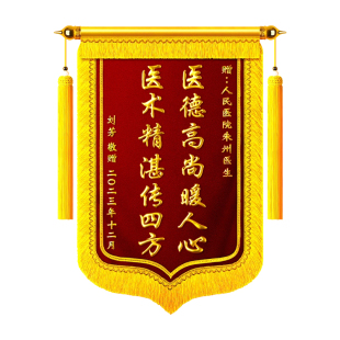 锦旗定制感谢医生创意搞笑旌旗订做送给宠物医生医护人员医院主刀医生疗养护理院护士主任妇幼保健院高档订做