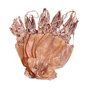 鱿鱼干淡晒干货海鲜手撕尤鱼水煮非烧烤专用湛江特产北海鱿鱼片