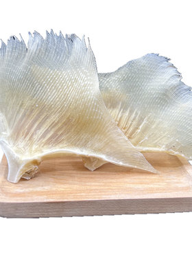 海狗干鱼翅煲汤炭烤料理佛跳墙