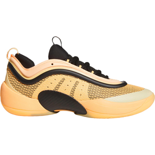 Adidas/阿迪达斯正品D.O.N. ISSUE 6男士经典缓震篮球鞋JI1549