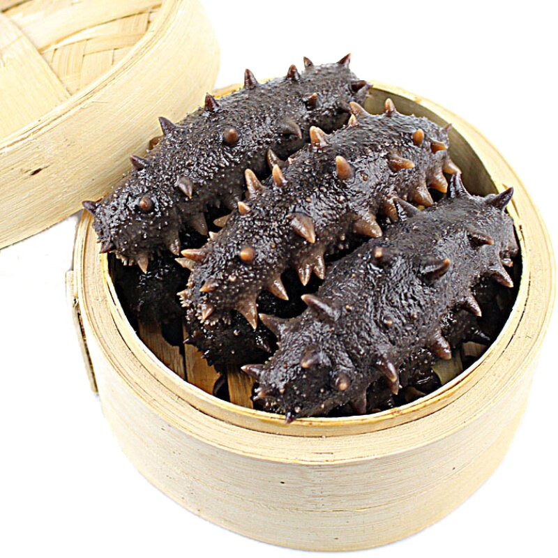 御海宝鲜蒸即食海参高500g质长岛