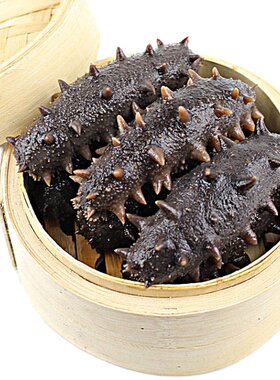 御海宝鲜蒸即食海参高500g质长岛