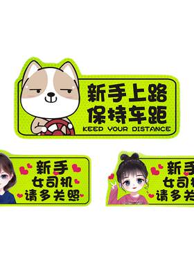 女司机汽车实习期贴纸