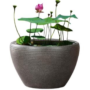 陶瓷鱼缸古法生态养鱼缸阳台小水池庭院老式大水缸大号睡莲荷花缸