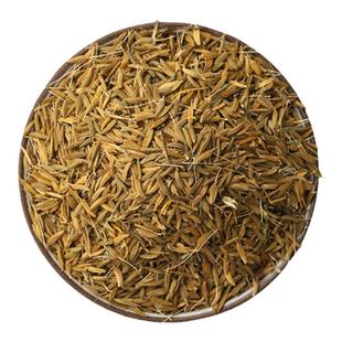 药材种子中草药薄荷藿香黄芪苍术枸杞百合籽种春四季药材种植苗子