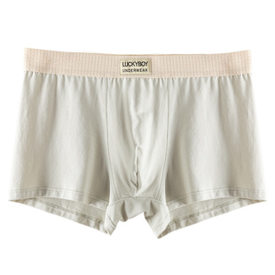 三条男士内裤男生纯棉四角短裤秋季新品平角裤衩男款2024新款裤头