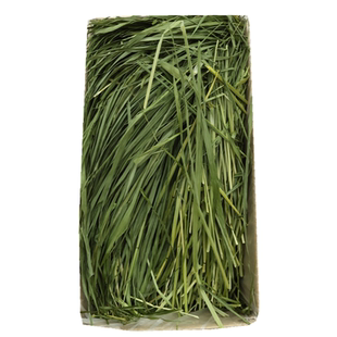 烘干燕麦草兔子荷兰猪牧草龙猫宠物兔干草兔兔豚鼠绿麦草粮食辅草