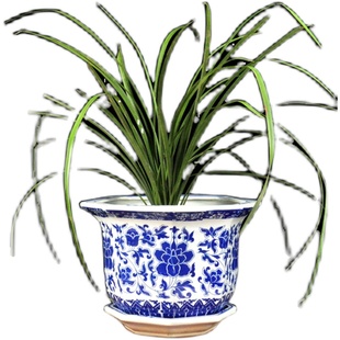 景德镇陶瓷花盆青花瓷大号带接水盘仿古树盆发财树种花居家阳台