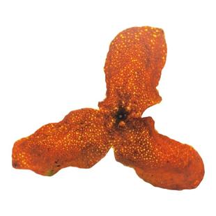 鼎雄农家直销3年陈新会陈皮 东甲 梅江 天马 小冈大红皮 原枝圈枝