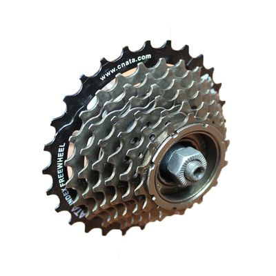 山地车旋式飞轮ANICERIDE飞轮