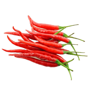 朝天椒种子小米椒早熟辣椒种籽超辣阳台盆栽四季播种农家蔬菜种子